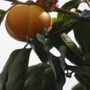 달빛민박 이미지