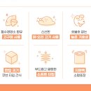 포테이토 독 이미지