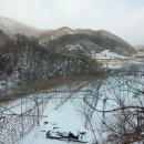 일출농장 이미지