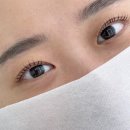 성남 산성역 속눈썹펌 헤이니크뷰티 딥블랙젤리펌 후기