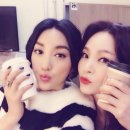 바다별 이미지