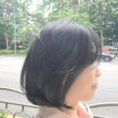 차지혜미용실