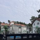 올게이츠1 네이버블로그