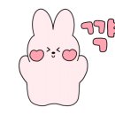 이모란동물병원 이미지