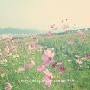 곱돌이와 낙순이 이미지