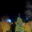 카페 문라이트(cafe moonlight) 이미지