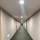 또래오래양평 | 소노벨 양평 1박 후기ㅣ스탠다드 패밀리 침대 클린형 객실ㅣ4인기준 객실