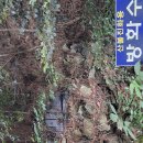 산불진화방화수2/대티역1.구덕령.내원정사.동대신역(완만한길) 이미지