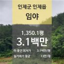 인제군인제읍귀둔보건진료소 | [강원 인제군 인제읍 "임야" 법원 경매] 최저가 3,124,000원 (유찰 1회)