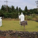 도치돌가든 이미지