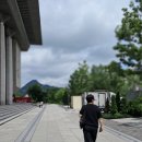 에드원 | 세종문화회관, 모네에서 앤디워홀까지!오픈런(주차정보 광화문광장)