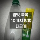 아이비중기 | 임신초기 입덧 극복 10가지 방법 총정리 | 만삭 임산부의 찐 리얼 후기와 추천템!