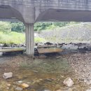 수목원펜션 이미지