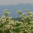 낙천농장 이미지