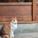 서화식당 이미지