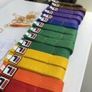 일루스터태권도장(ILLUSTER)광명점 | 일루스터 태권도 품새 선수들 발란스 트레이닝