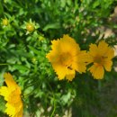 학산경로당 이미지