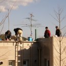 미비마을회관 이미지