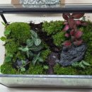 반곡지 농촌체험 휴양마을 이미지