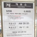 뚝섬한강공원-65 이미지