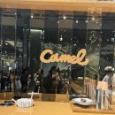 카멜커피판교현대 | 더현대서울 카멜커피 평일 방문 후기｜줄서서 먹는 이유 있는 여의도 핫플 카페