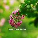 명옥헌민박 이미지