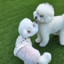 헬로우버디 판교밸리점 이미지