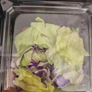 01-85 동구 이미지