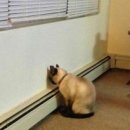 운동하는데 이미지