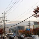 구로-구로-구로-1212 이미지