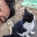 케이영