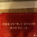 제주마실게스트하우스 | 제주 숙소 | 동쪽 종달리 게스트하우스 도쉼 여자 혼자 뚜벅이 1박 후기
