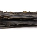 팀터틀랫 기장일광점 이미지