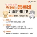 서산동물병원 이미지