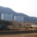 서남대학교 Daum카페