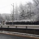 석남고가교 사거리 횡단보도 이미지