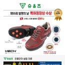 슈올즈 괴정점 이미지