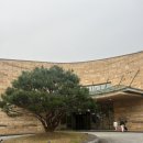 대식당(마에스트로) 이미지