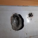 대성주택 이미지