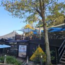 카페씨앤디마운틴 이미지