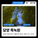 담양관광정보센터 | 담양여행 필수 관광지 인생샷 남기기 좋은 가볼만한곳 죽녹원