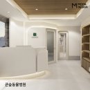 강동큰숲동물병원 이미지