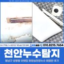 천안동남소방서 화장실 | 천안누수탐지, 동남구 성황동 아랫집 화장실천장누수 해결한 후기