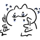 비노잉 이미지