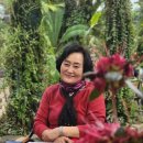 달달목장 이미지