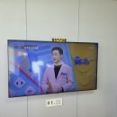 산뜻하개 네이버블로그