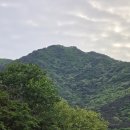 백옥마을 | 찬란한 연초록 4월을 못내 보내기 아쉬워서 사는 곳 김해 장유 팔판마을과 율하천을 산책하다.