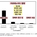 의사의식탁