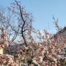 섬진강출렁다리펜션 이미지