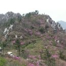 산이 좋은 사람들 제 87차 전남강진 주작산 (428m) 정기산행 이미지